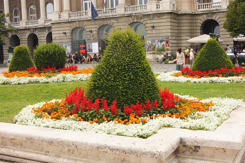 Budapest-Royal-Palace-flowerbeds